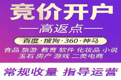 百度竞价推广成功案例解析